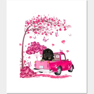 Valentine's Day Love Pickup Truck Tibetan Mastiff Posters and Art